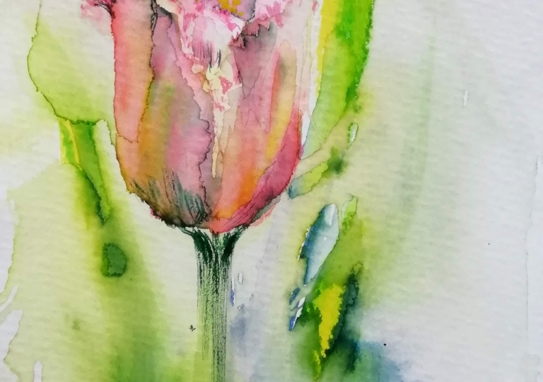 postcards from the garden 2020, pink tulip 