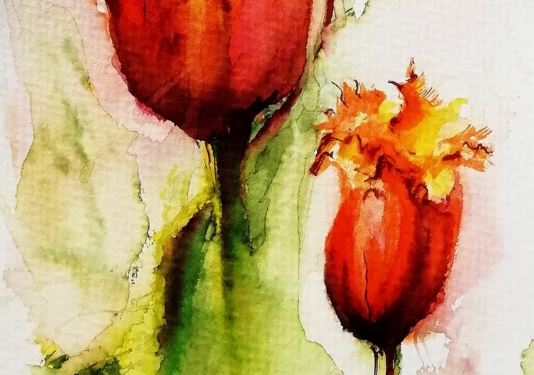 postcards from the garden 2020, tulips