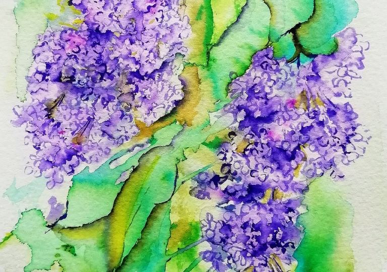 postcards from the garden 2020 , lilac